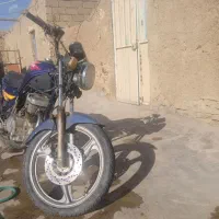 دایلیم ۱۷۵ قیمت ۲۷
