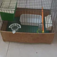 قفس ولوازم پرنده