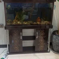 اکواریوم