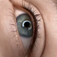 آموزش آرایش دائم فقط۳ میلیون با مدرک فنی‌حرفه‌ای|خدمات آموزشی|یزد, |دیوار