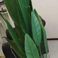 گلدان مصنوعی پرنده بهشتی