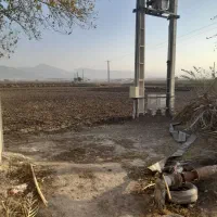 نخود فرهنگی