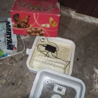 دستگاه جوجه کشی فول اتومات