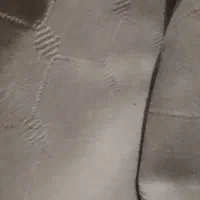 دو عدد فرش ۹|فرش|اردبیل, |دیوار