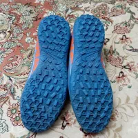 کتانی ورزشی