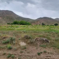 زمین باغ انگور