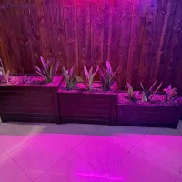 چوب‌های دکوری مناسب دکور داخلی کافه و کلبه سوئیسی|صنایع دستی و سایر لوازم تزئینی|بهشهر, |دیوار