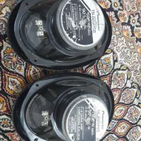 باند پایونیر