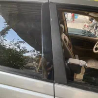 رنگ چراغات رفته.  با سلفون ازشون محافظت کن