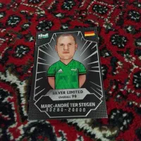 تعدادی عکس کیمدی