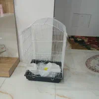 قفس