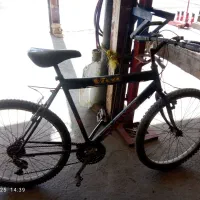 دوچرخه 26ویوا