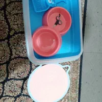اکسسوری نگهداری گربه