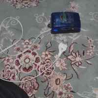ماهی|ماهی|تربت جام, میرقوام الدین|دیوار