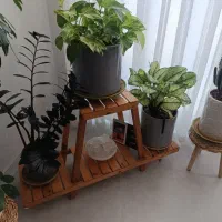 استند گل و گیاه