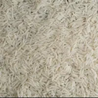 برنج طارم هاشمی