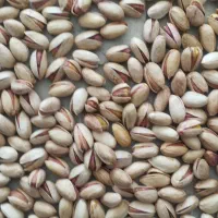 کار در منزل