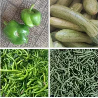 لوبیا سبز درجه یک بدون نخ