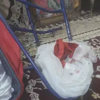 نی نی لالای