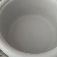 پلوپز برقی
