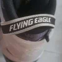 اسکیت مارک FLYING EaGLEبهترین وبا کیفیت ترین|دوچرخه، اسکیت، اسکوتر|بجنورد, |دیوار