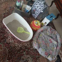 لوازم وتجهیزات گربه
