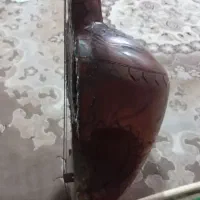 چنگ بلوچی|سازهای سنتی|فارغان, |دیوار