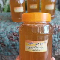 عسل طبیعی گون گز درجه یک