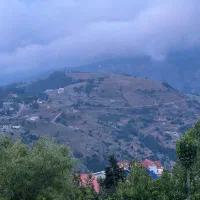 فروش زمین|فروش زمین و ملک کلنگی|بره‌سر, |دیوار