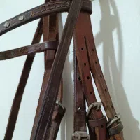 کله گی دست جلو و دهنگیر اسب آکبند