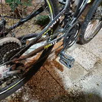 دوچرخه|دوچرخه، اسکیت، اسکوتر|بندر کنگان, |دیوار