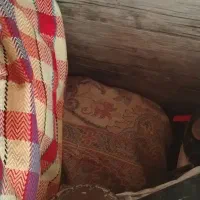 ابزار کار، قیچی، کمپکتور،یخچال فریزر، فرش وغیره