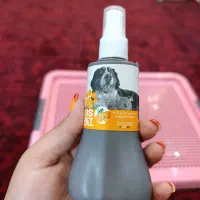 وسایل سگ ( سینی ادرار ، ادکلن ، بالم )|لوازم جانبی حیوانات|رشت, گلسار|دیوار