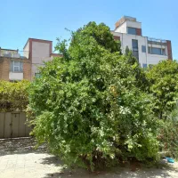 مشارکت  یا تهاتر  نمی کنیم  فقط  فروش  کاملاً  نقد|مشارکت در ساخت املاک|شیراز, بعثت|دیوار