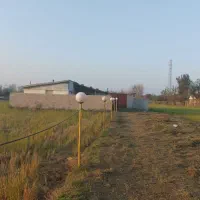 سوله برای گاوداری