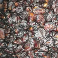 خرمایی شکر