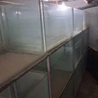 ۴۵ عدد اکواریوم پرورش ماهی زینتی