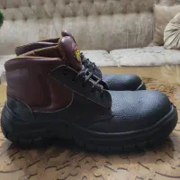 کفش کار