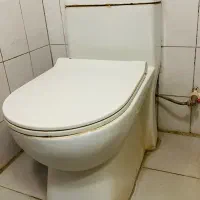 توالت فرنگی به همراه شیر و شلنگ