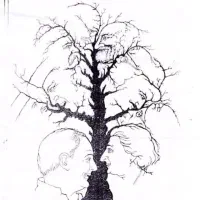 گمشده