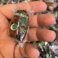 حج وعمره میزمطالعهطنابسُربی ماهیگیری تَندگیدر|خدمات پذیرایی، مراسم|چابهار, |دیوار