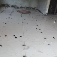 استا بنا هستم کاشیکاری و سنگ کاری ومالکشی|خدمات پیشه و مهارت|رضوانشهر, |دیوار