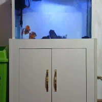 آکواریوم