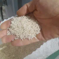 برنج