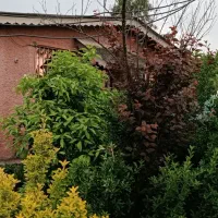 سویت ساعتی نیم روز نصف روز برای تولد دو تا ده نفر|اجارهٔ کوتاه‌مدت آپارتمان و سوئیت|رشت, شالکو|دیوار