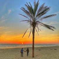 تور کیش جزیره مرجانی دوسرهوایی هتل ۵ ستاره|تور و چارتر|تهران, افسریه شمالی|دیوار