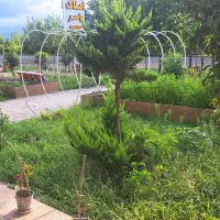 اجاره یک باب مغازه ۸۰متری|اجارهٔ مغازه و غرفه|چاف و چمخاله, |دیوار