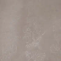 موکت کارکرده