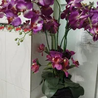 مجسمه زرافه طلایی دوتا بزرگ گل ارکیده قیمت پایین|مجسمه، تندیس، ماکت|رشت, گلسار|دیوار