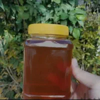 عسل از دامنه های سبلان